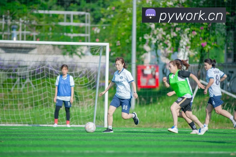 hth华体官方下载 - 下载最新版APP 封面图